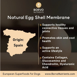 Eggshell Membrane for Dogs - Borvo Nutrients