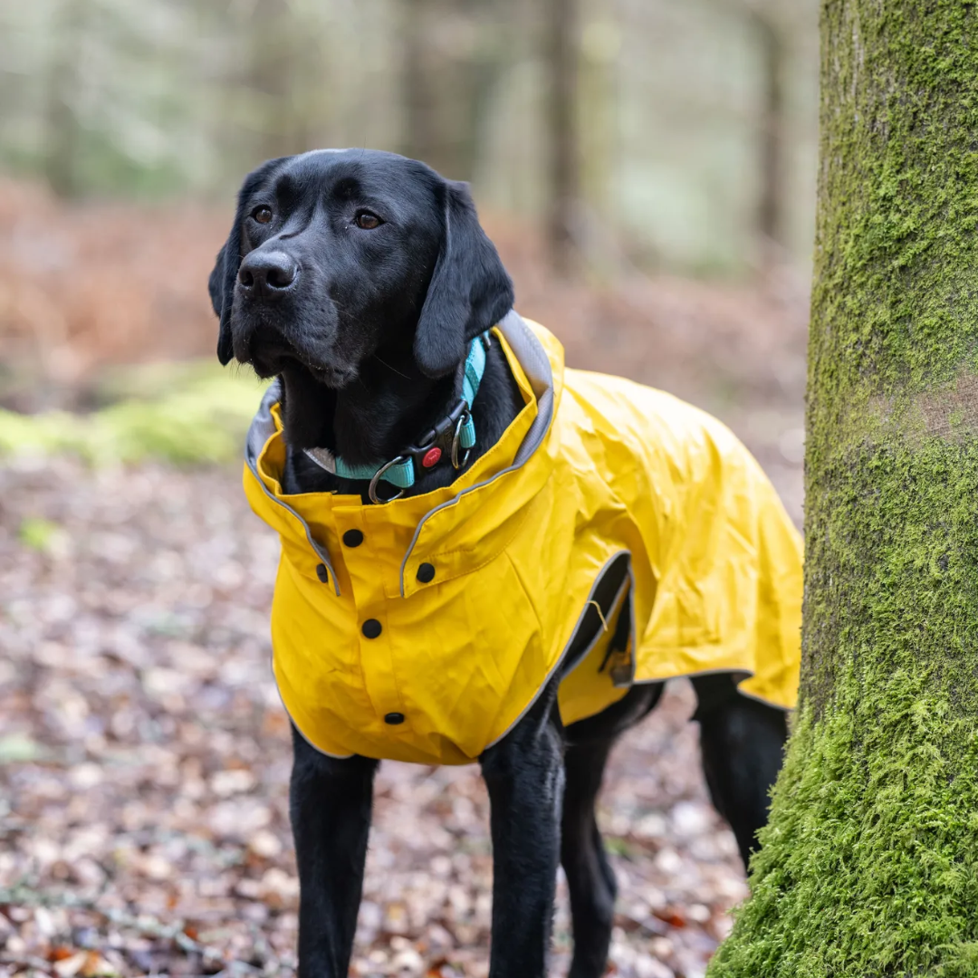 Rukka Stream Yellow Raincoat