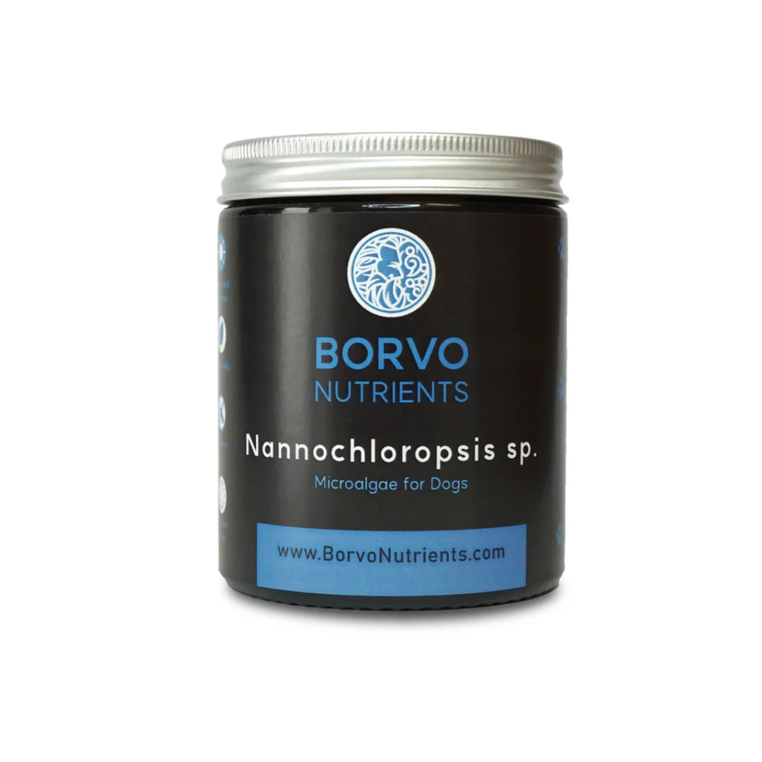 Nannochloropsis Sp. for Dogs - Borvo Nutrients
