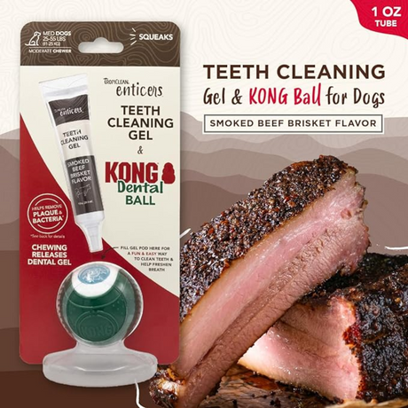 Beef Enticers and Kong Dental Ball Kit