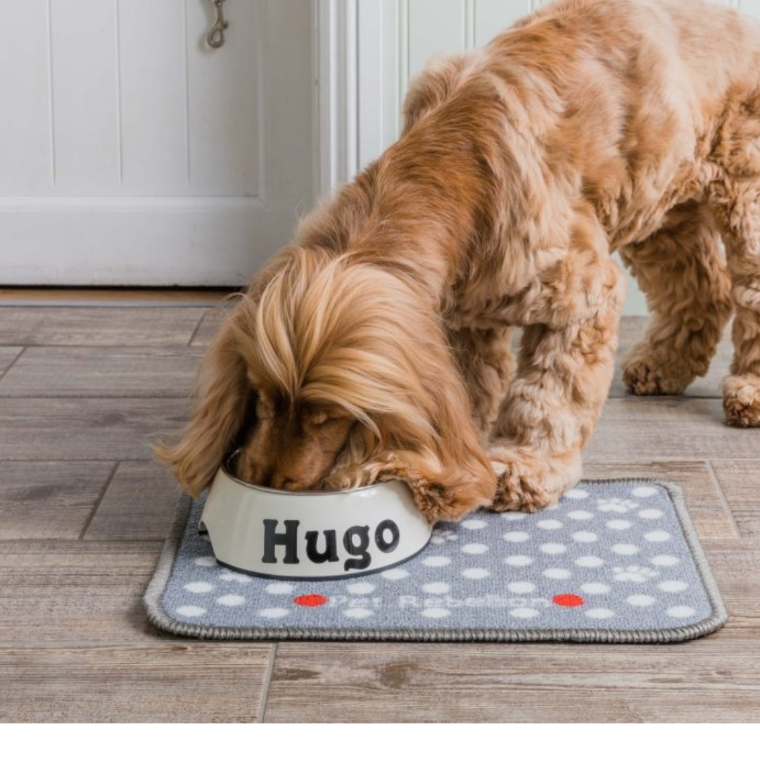 Grey Dotty Absorbent Food Mat