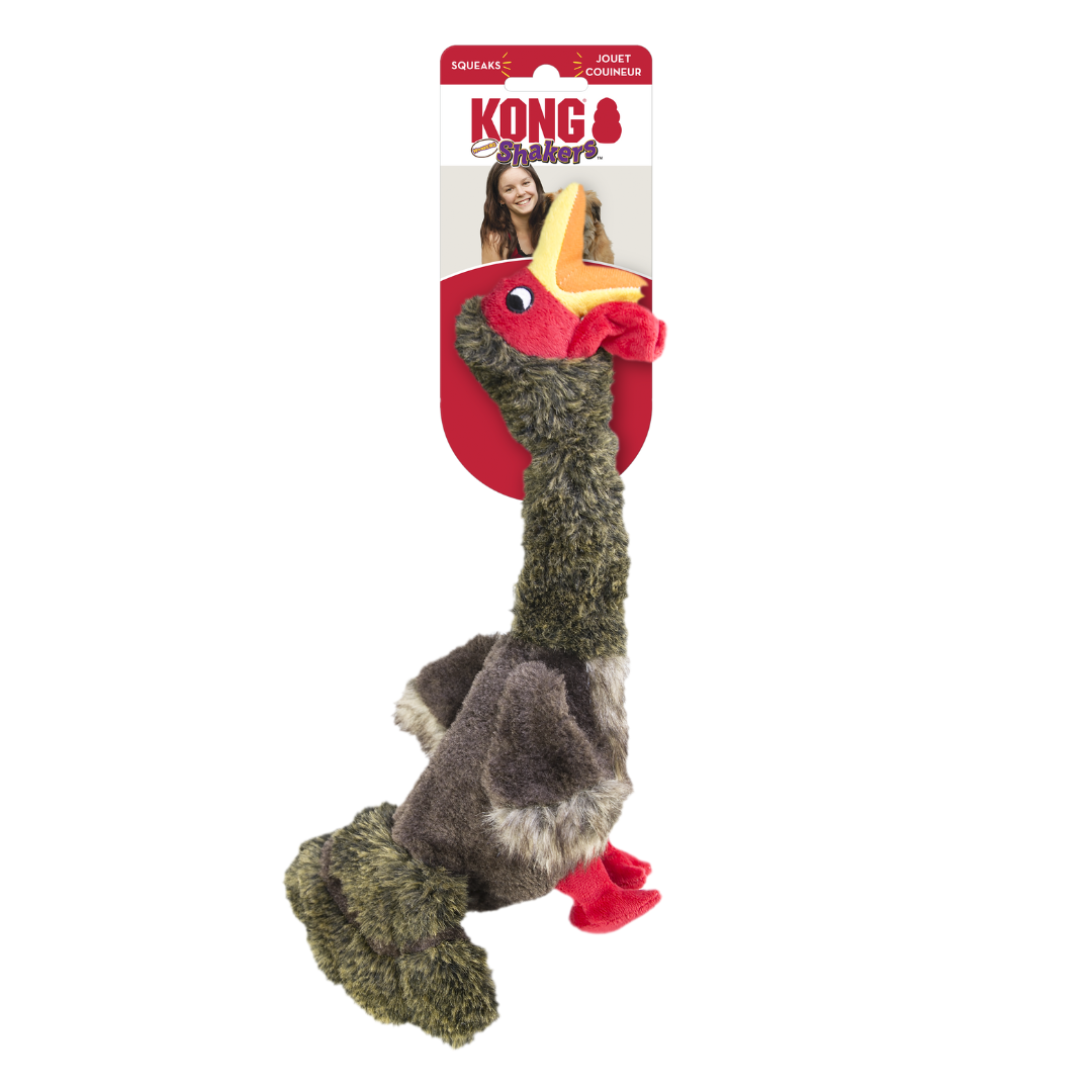 Kong Shakers Bird Toy