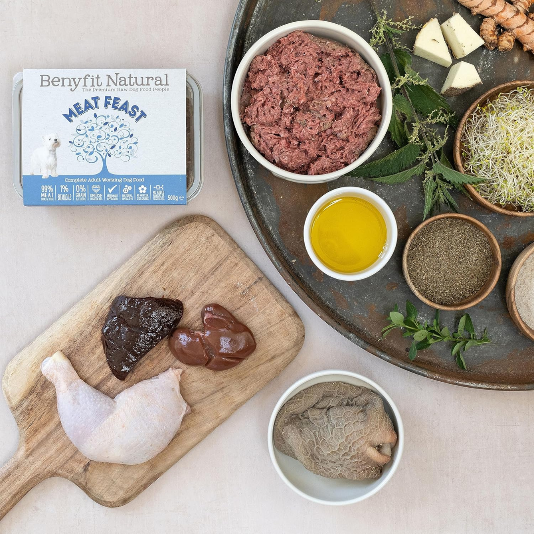 A pack and bowl of Benyfit Natural Meat Feast raw dog food, surrounded by raw ingredients.