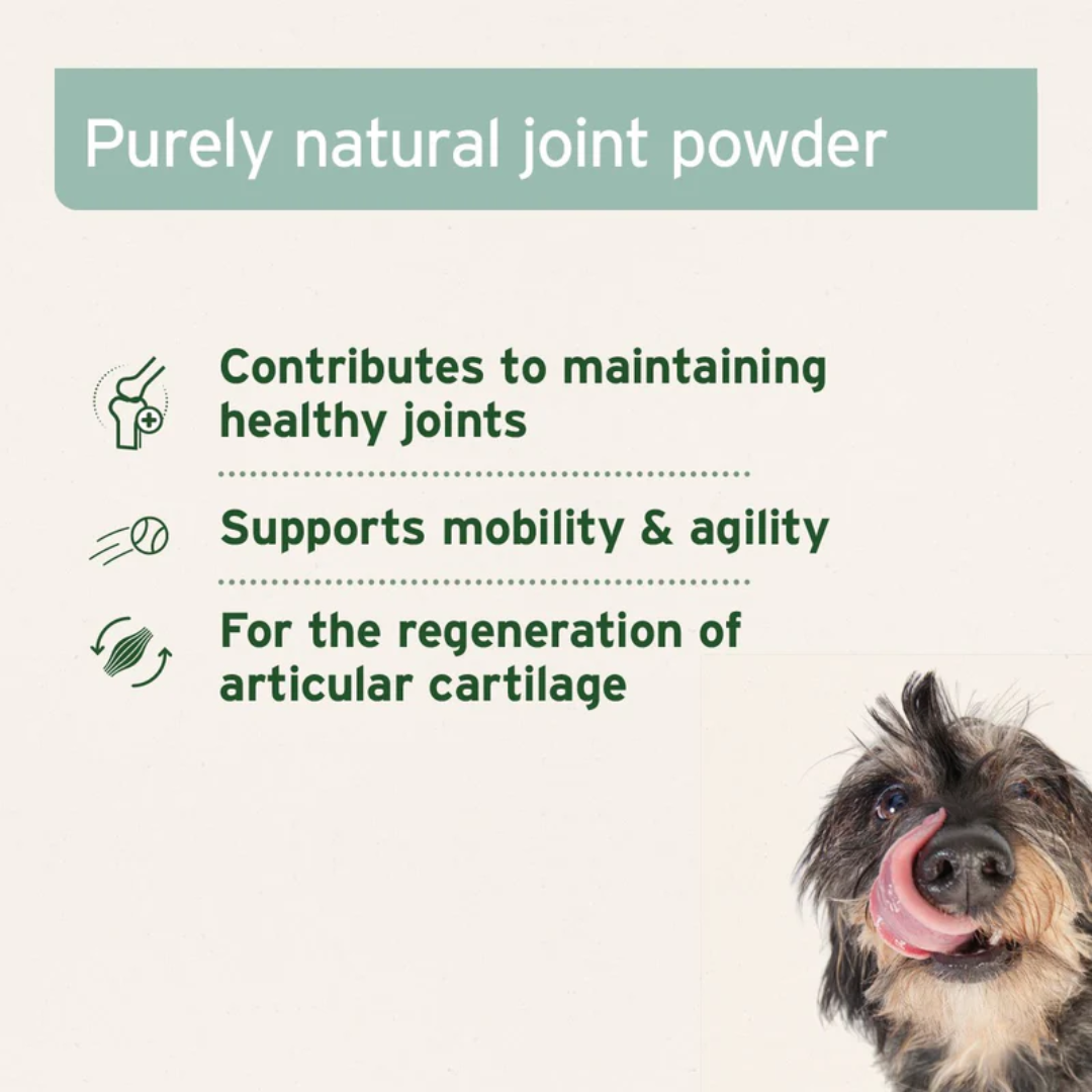 Key benefits of the Aniforte Green-Lipped Mussel Powder