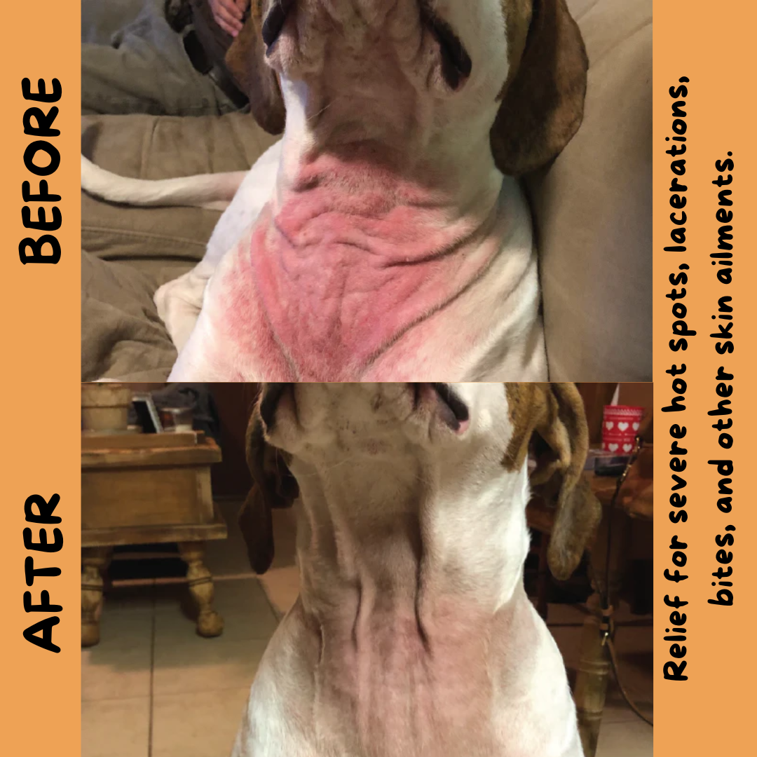 A before and after photo of a customer who used this product on their dog.