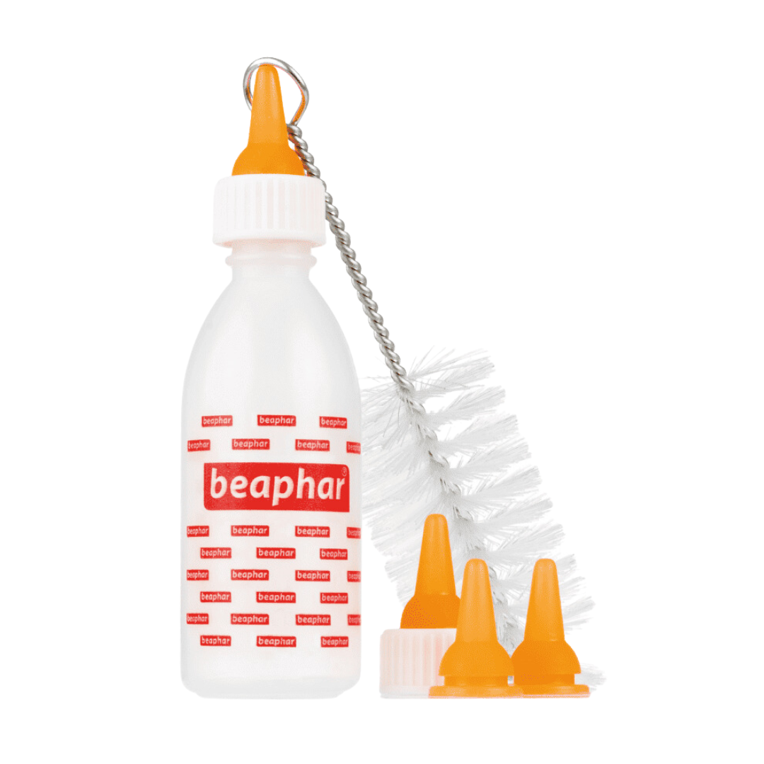 Beaphar Lactol Feeding Set