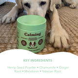 Labrador behind a tub of Natural Dog Company Calming Supplement. Key ingredients - Hemp Seed Powder, Chamomile, Ginger Root, Melatonin and Valerian Root