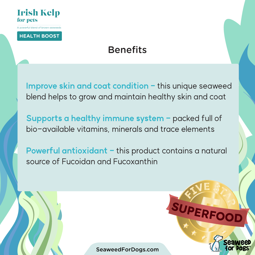 Organic Irish Kelp