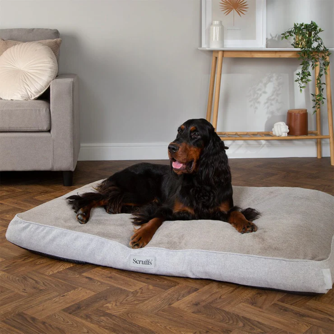 Memory foam mattress dog bed 2025
