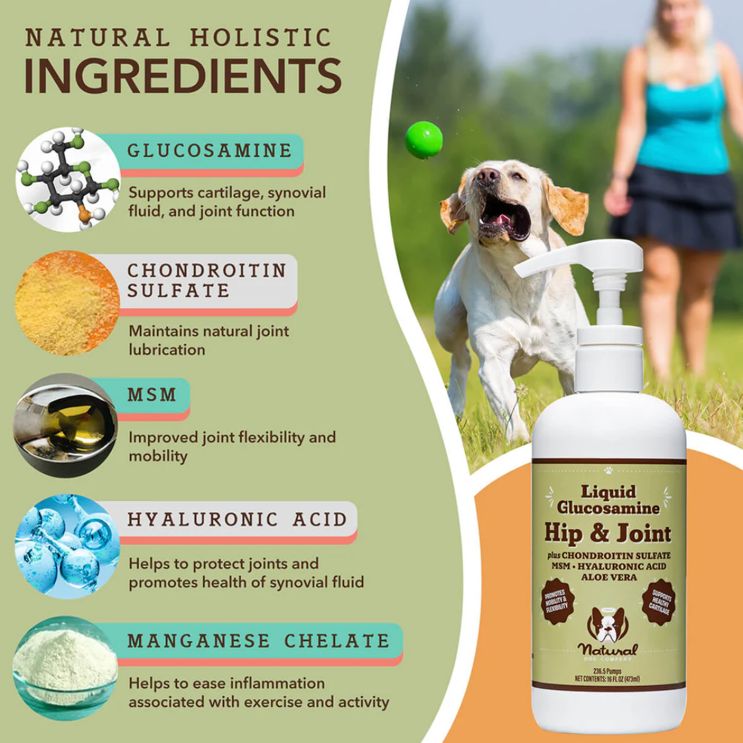 The active ingredients in Natural Dog Company Liquid Glucosamine listed and their benefits.