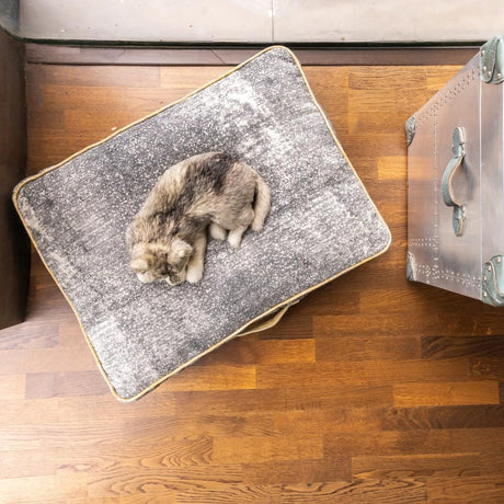 Resploot Grey Mattress Dog Bed