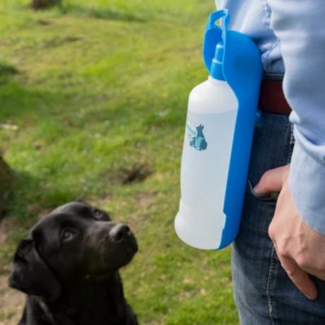 Fresh 2GO Water Bottle for Dogs