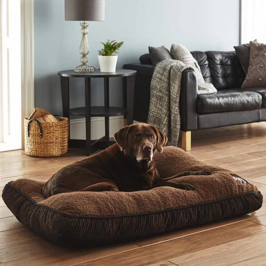 Bunty extra large dog bed online