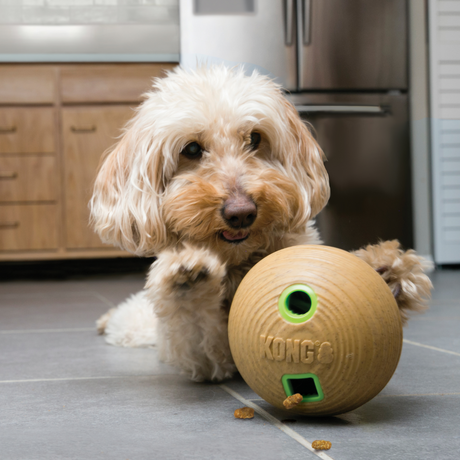 Kong Bamboo Slow Feeder Ball