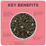 An infographic by Burgess stating the benefits of this cat food. There is a bowl of cat food in the middle of the photo.