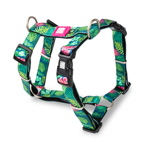 Max and Molly Tropical Harness