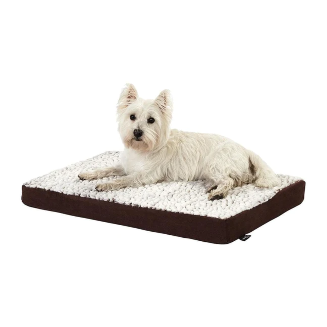 Orthopedic best sale dog bed