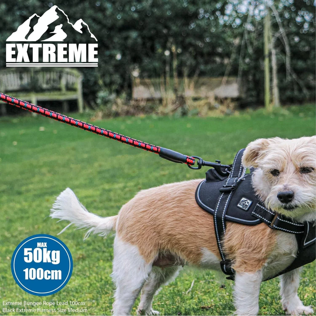 Ancol Extreme Bungee Rope Lead