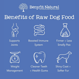 The Benefits of Raw Dog Food, including joint and immune support.