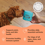 Natural Dog Company Collagen Supplement for Dogs
