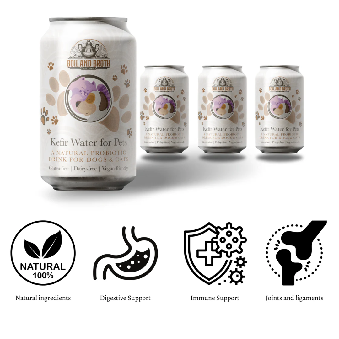 Kefir Water for Pets - Boil & Broth