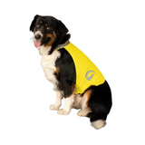 NightWalk Yellow Dog Safety Vest