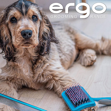 Ergo Hedgehog Slicker