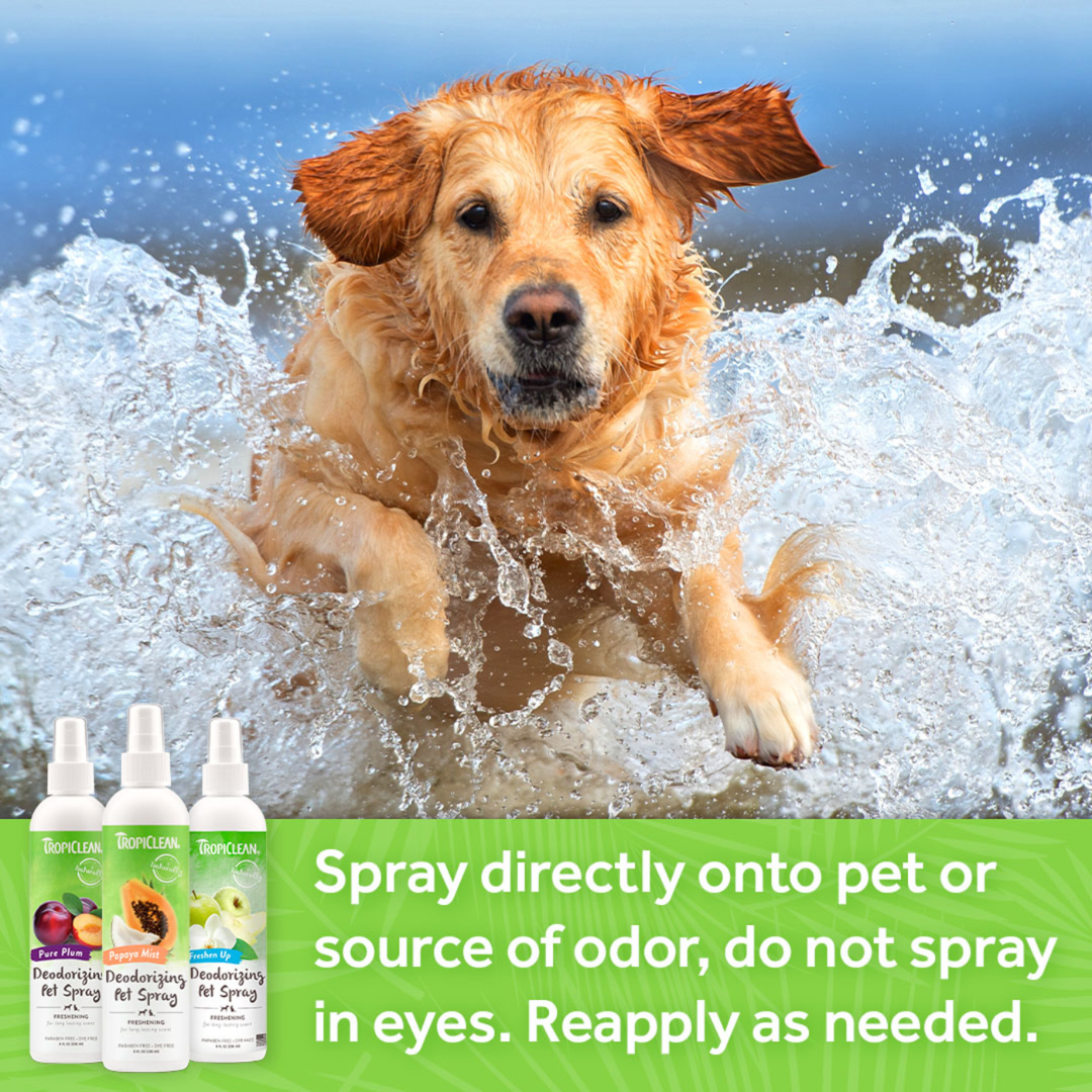 Tropiclean Lime Coconut Deodorizing Pet Spray Fetch Your Pet Needs