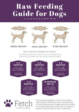 Raw Feeding Guide for Dogs by Fetch Pet Needs with illustrations of dogs at different weight conditions.