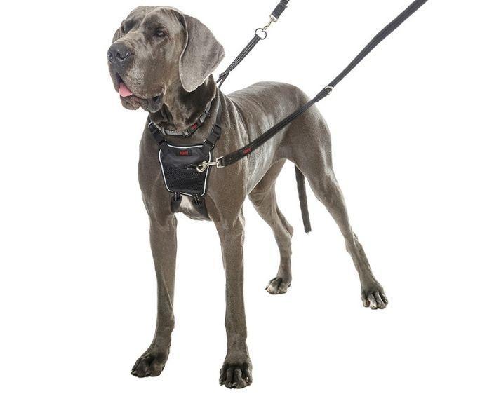 Halti - No Pull Harness