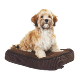 Bunty Snooze Dog Mattress