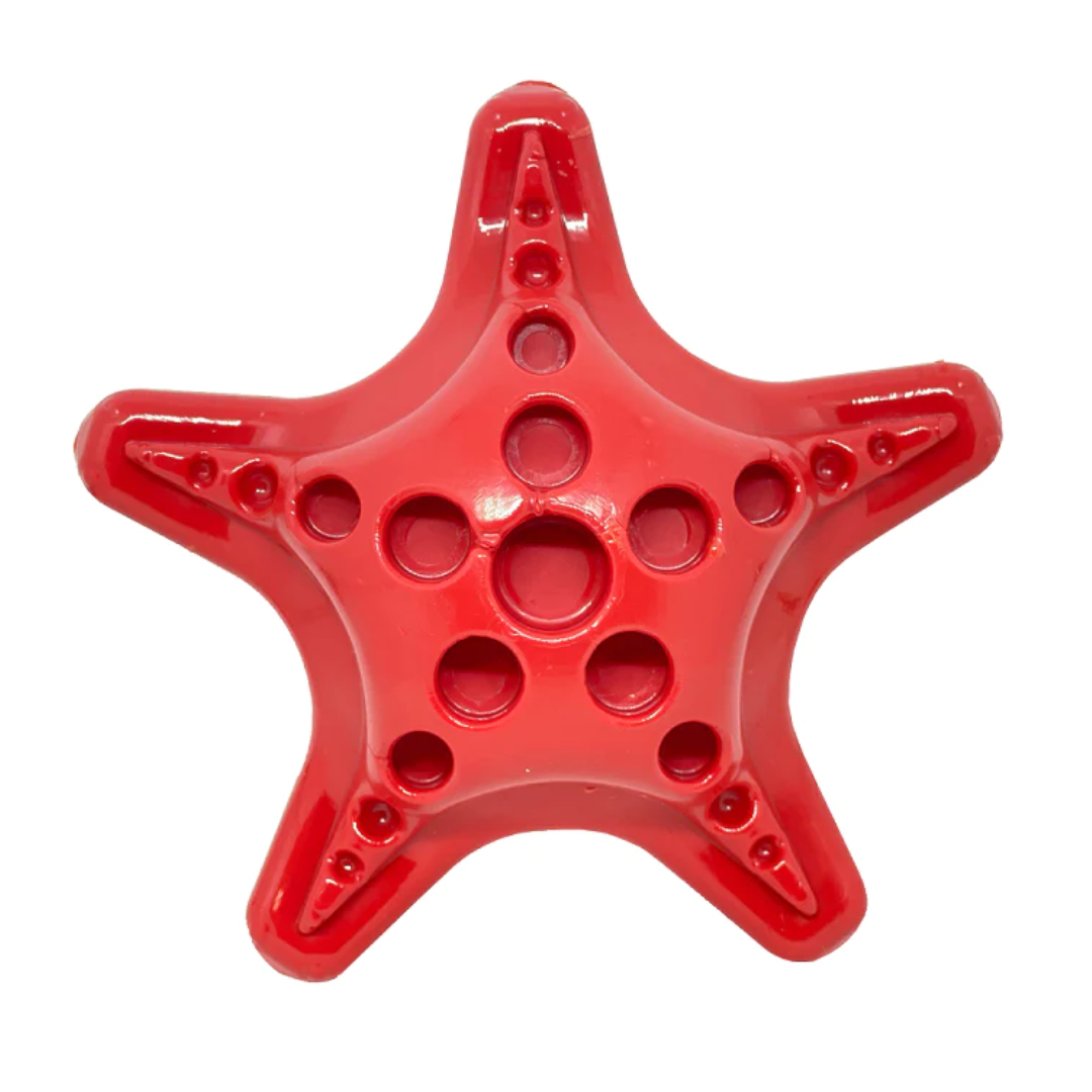 SodaPup Starfish Tough Dog Chew Toy
