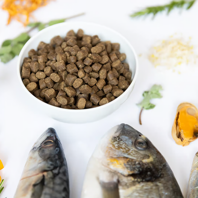 Fish kibble hot sale