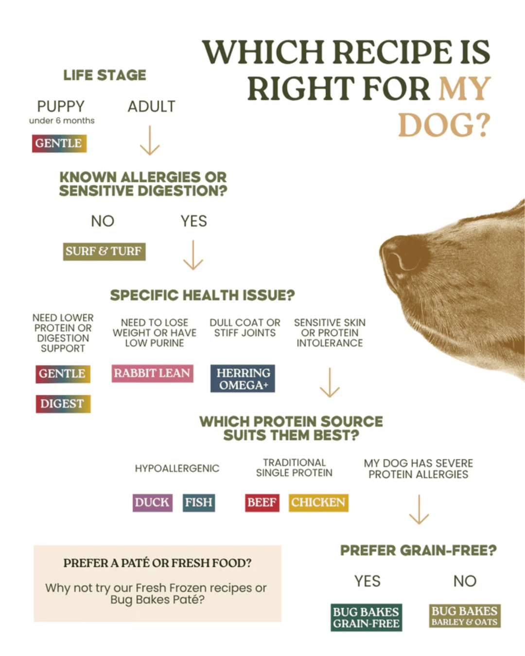 Wild 80:20 Chicken Cold Pressed Dog Food
