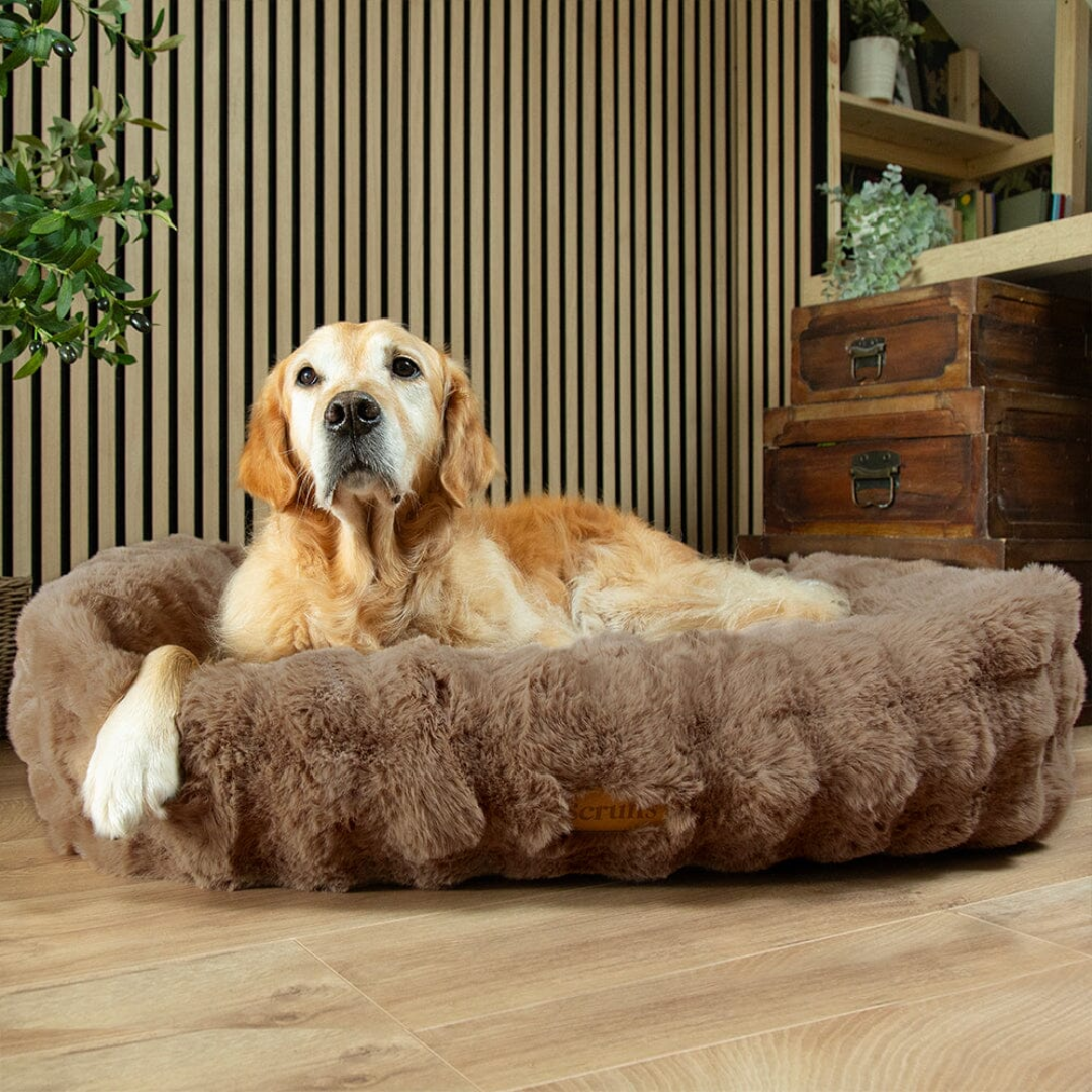 Scruffs Alpine Box Bed