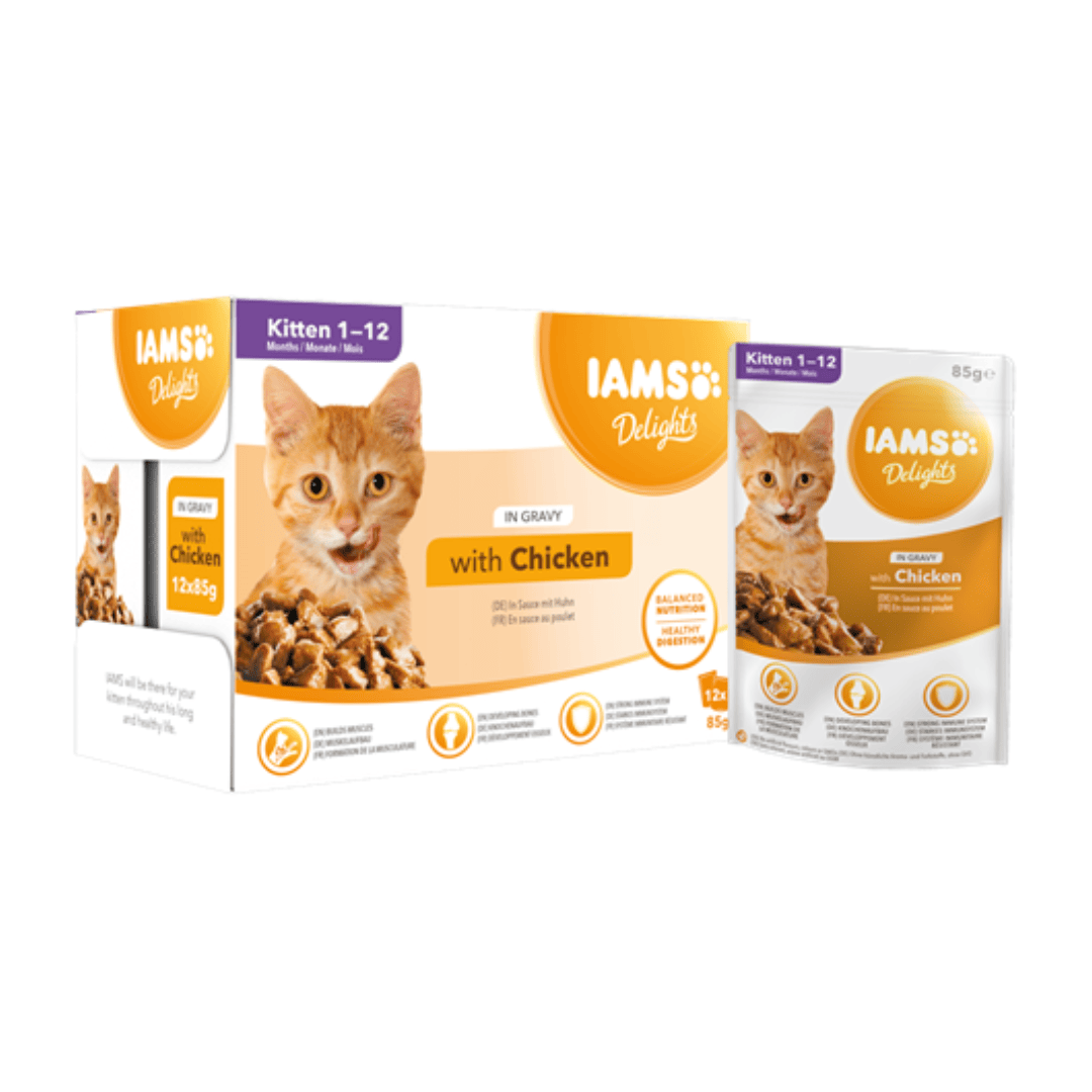 Iams Chicken Kitten Food in Gravy 12 Pack
