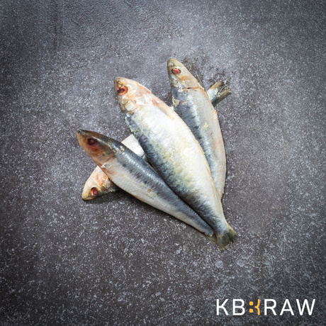 KB Raw Sardines 1kg