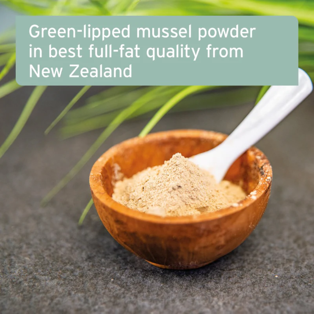 The Aniforte Green-Lipped Mussel Powder loose in a small wooden bowl. Infographic states it is the "best full-fat quality from New Zealand"