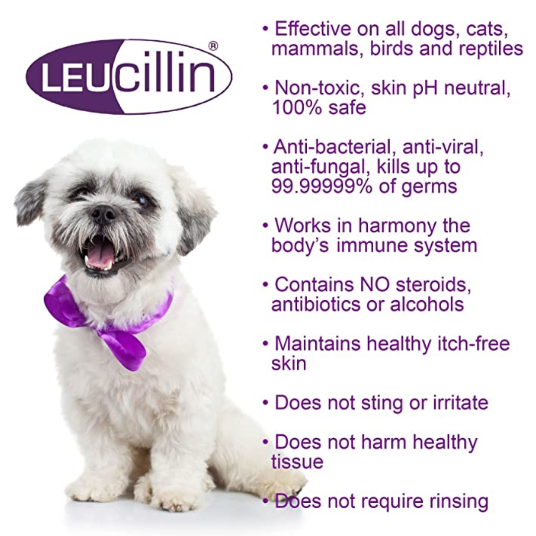 Leucillin Natural Antiseptic Spray for Pets