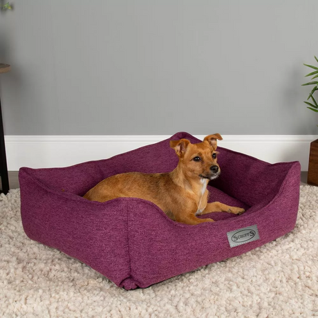 Scruffs Manhattan Box Dog Bed | Berry Purple