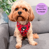 Zelda and Harley Red Hairy Pawter Harness