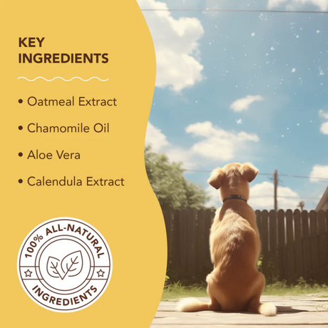 Key Ingredients: Oatmeal Extract, Chamomile Oil, Aloe Vera, Calendula Extract.