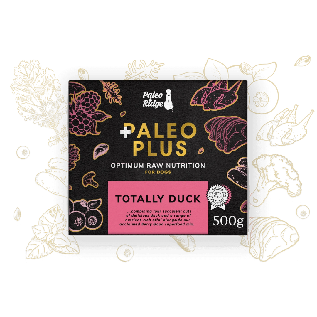 Paleo Ridge Plus - Totally Duck
