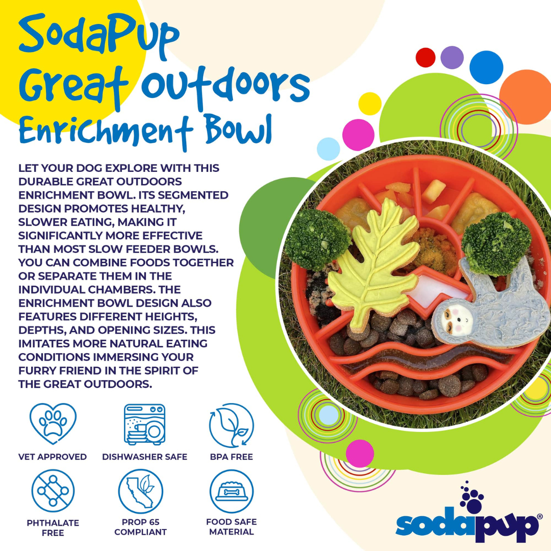SodaPup Great Outdoors eBowl Slow Feeder