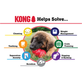 Kong Classic Dog Toy