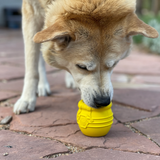 SodaPup Honey Pot Treat Enrichment Toy