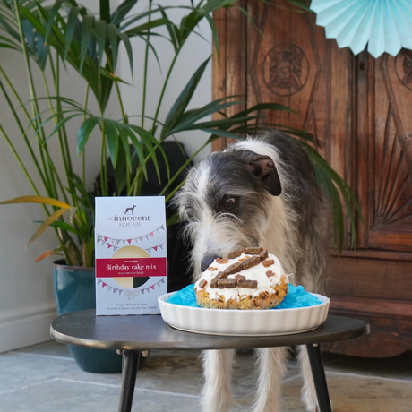 Innocent Hound Birthday Cake Mix for Dogs