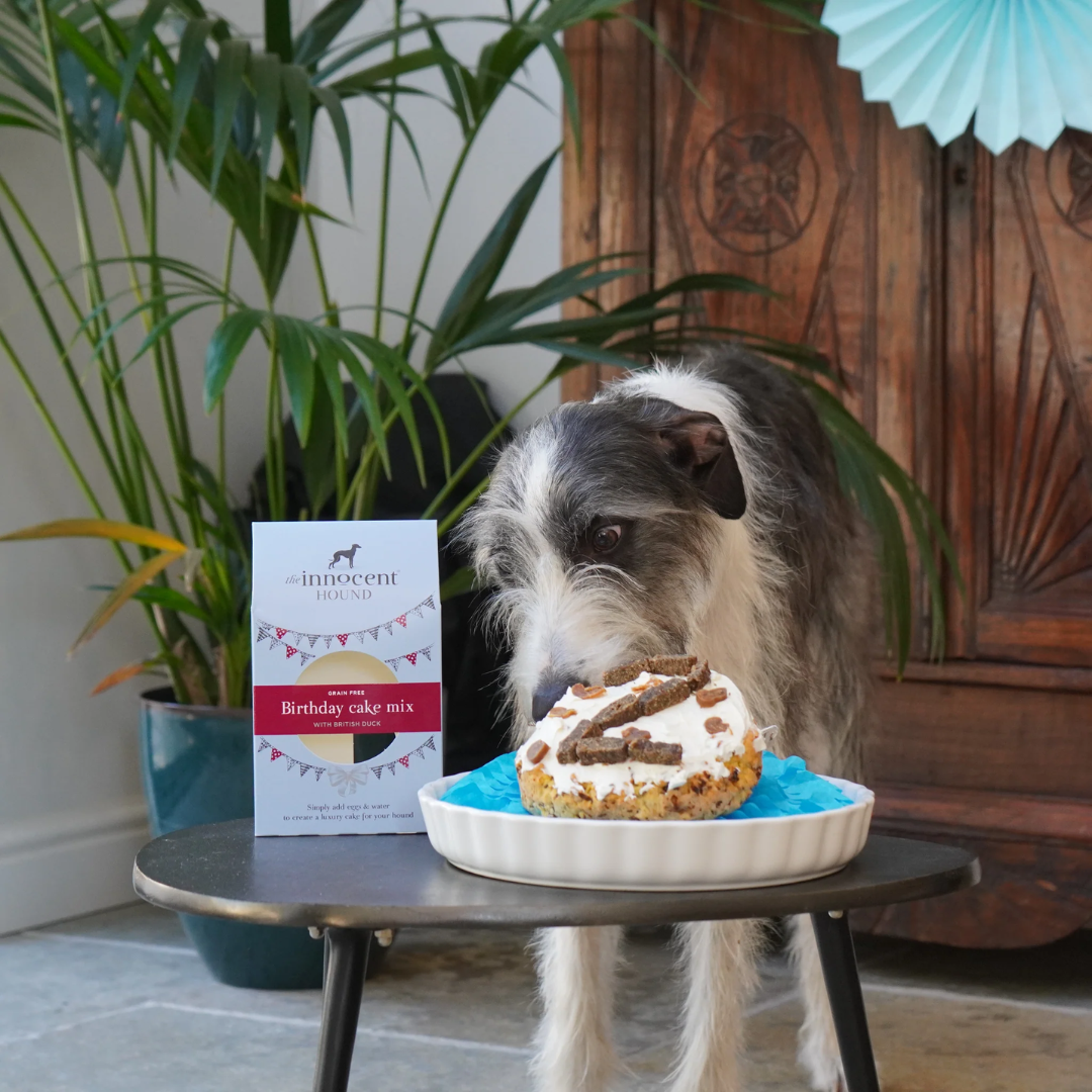 Cake for your dog deals