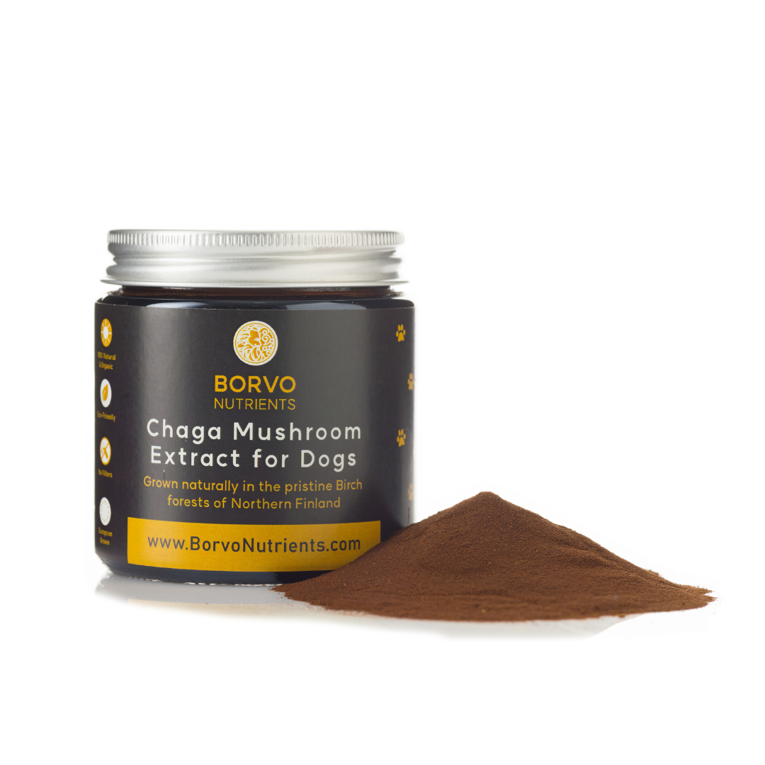 Mushroom powder for dogs best sale