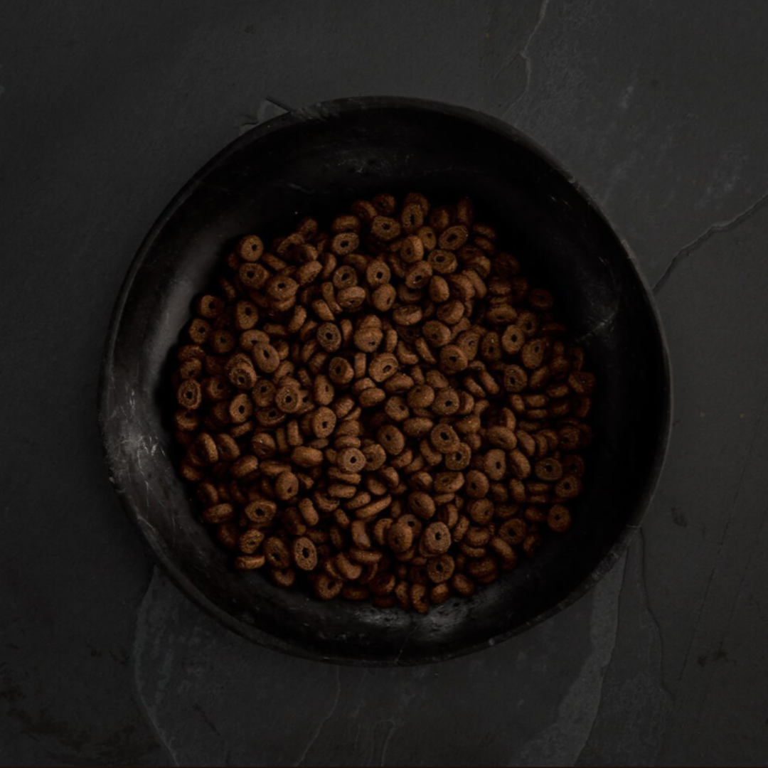 Canagan country online game small breed